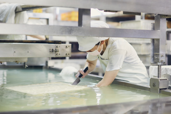 ナカシタトウフ